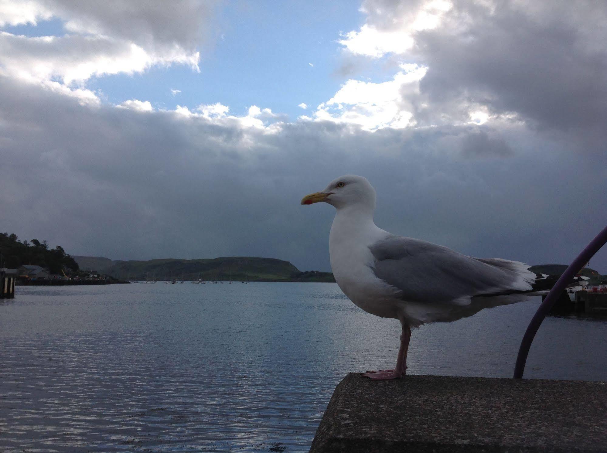 Lagganbeg Guest House Oban Dış mekan fotoğraf